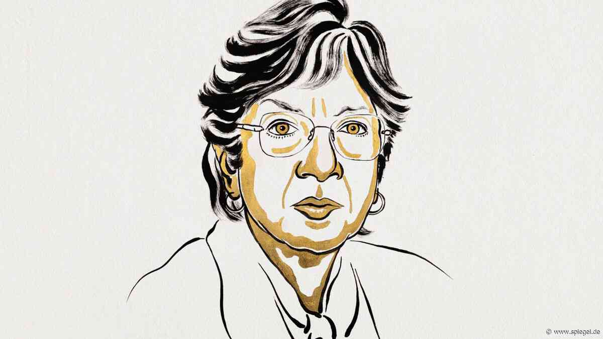 Friedensnobelpreis: Südafrikanische Juristin Navanethem Pillay ausgezeichnet