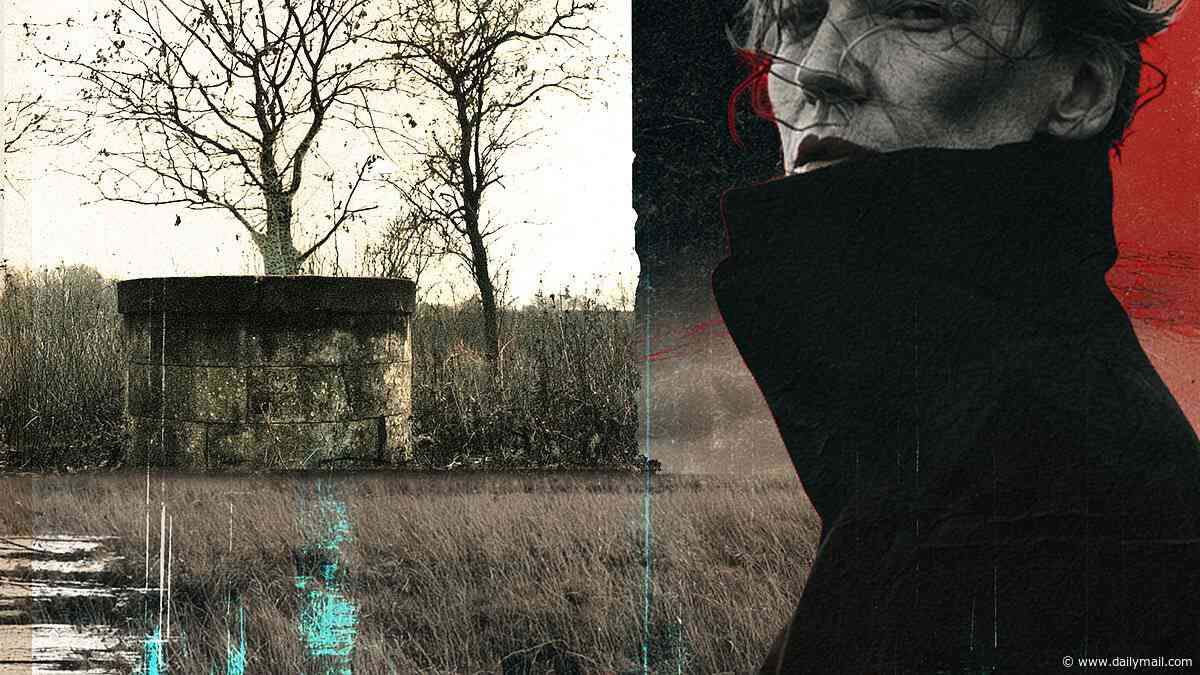 Uncovering a deadly well of dark secrets...this month's retro reads: THE WELL by Elizabeth Jolley, HONEY by Elizabeth Jenkins, A GLOVE SHOP IN VIENNA by Eva Ibbotson
