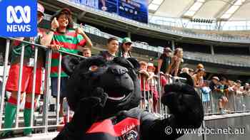 Anthony De Ceglie steps down as Perth Bears CEO