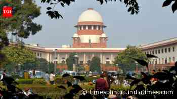 'One should not use hammer to kill fly': SC on Delhi Metro curbs ahead of CJP Jantar Mantar protest