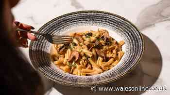 Bella Italia has a £1 truffle deal until November 9