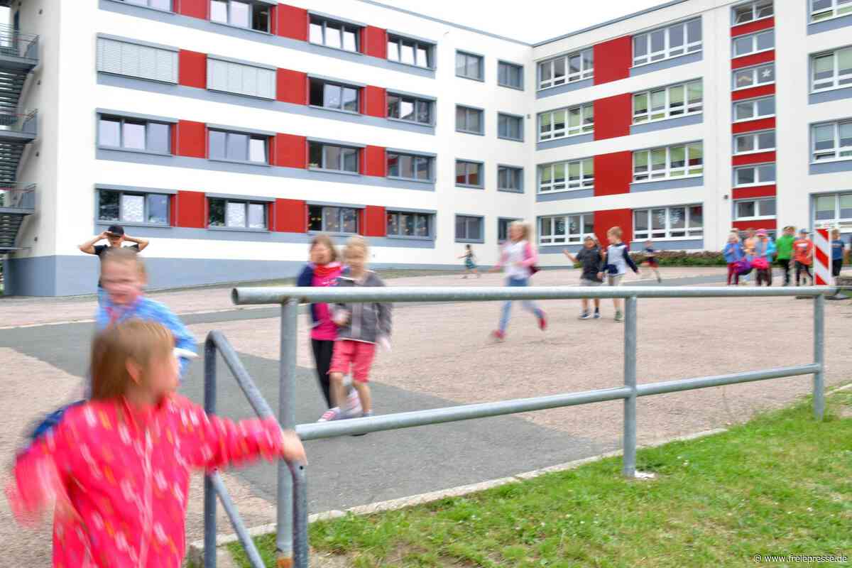 Geld für mehr Grün in Zwickauer Schulhöfen