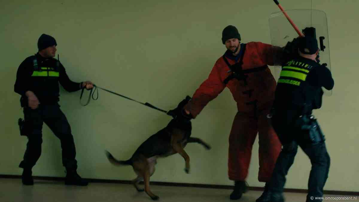 Politiehond heeft iets wat taser en wapenstok niet hebben: een neus