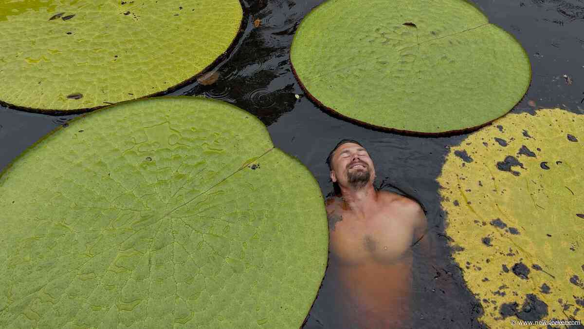 Nieuwe reuzenwaterleliesoort ontdekt in Colombia dankzij Instagram-post