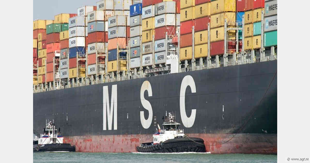 MSC en Hutchison hervatten gesprekken over terminal Rotterdam