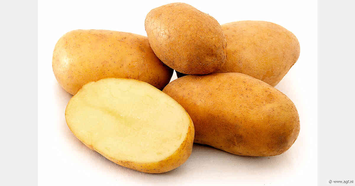 Kazachse aardappelsector wil meer variatie in rassen