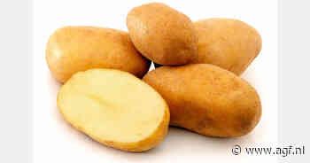 Kazachse aardappelsector wil meer variatie in rassen