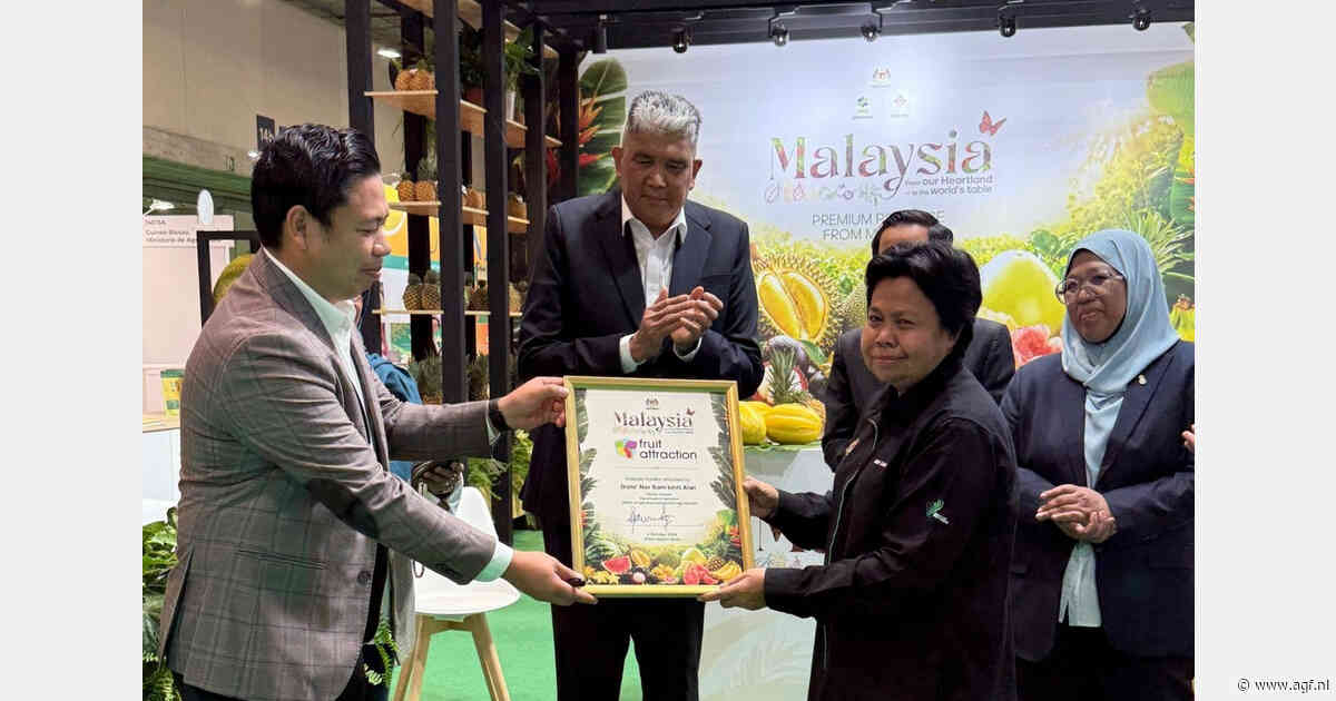 Maleisië introduceert Sarawak Gold-ananas op Europese markt