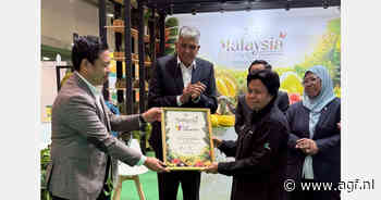 Maleisië introduceert Sarawak Gold-ananas op Europese markt