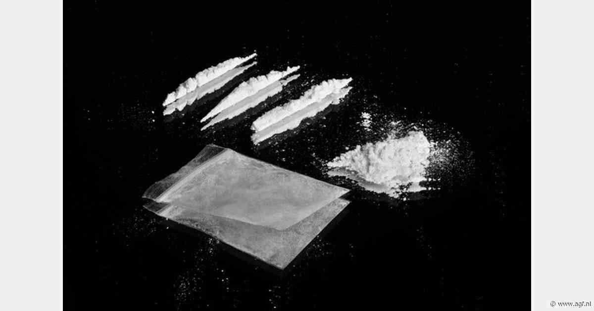 Vier verdachten aangehouden na vondst cocaïne in koelcontainer Maasdijk