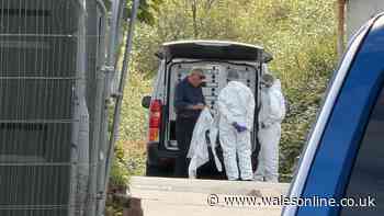 Woman who died in burning van was 'alive when fire began', court told