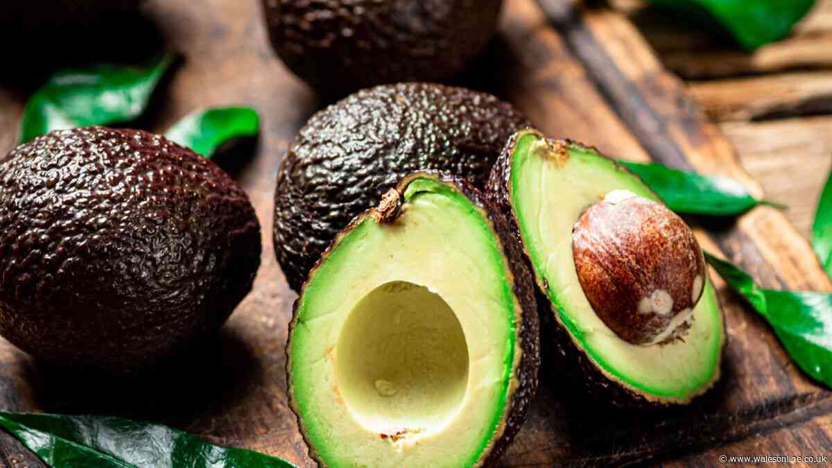 I tried avocados from Sainsbury's, Tesco, Morrisons and Co-op — one stood out