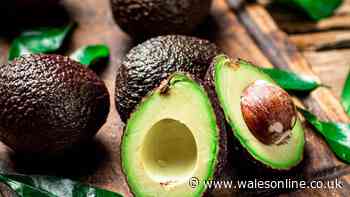 I tried avocados from Sainsbury's, Tesco, Morrisons and Co-op — one stood out
