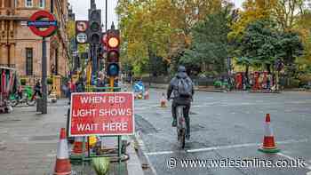 Lawyer explains whether cyclists can actually go through red lights