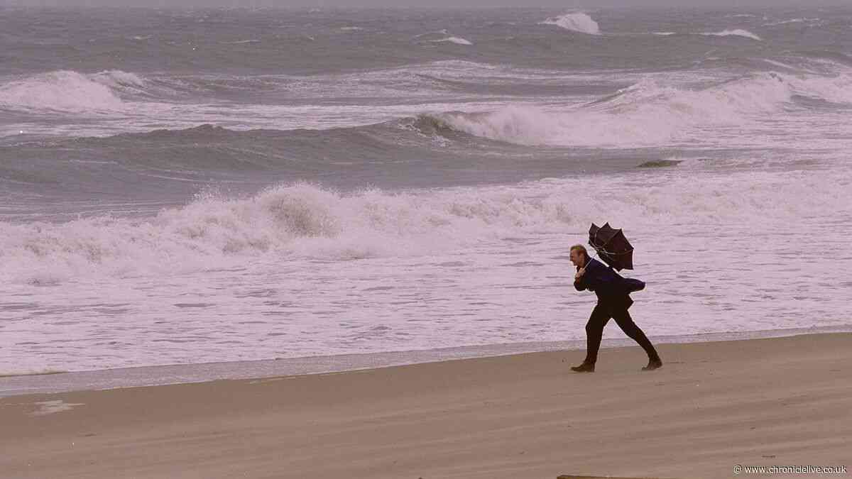 Two North East markets cancelled this weekend due to strong winds with 41mph gusts expected