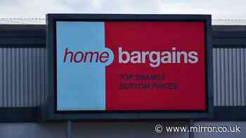 Skin 'feels fresh' with Home Bargains' £1.70 version of Lush's £24 'Snow Fairy'