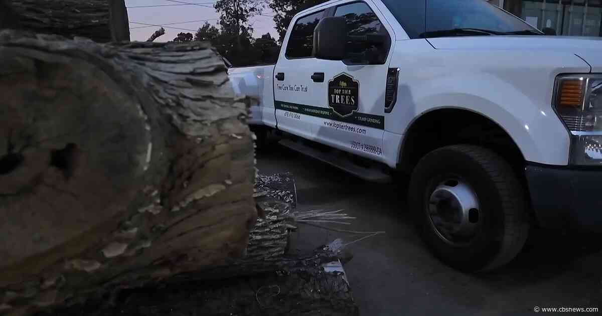 Metro Atlanta tree trimming company sees increase in calls ahead of Hurricane Isaias