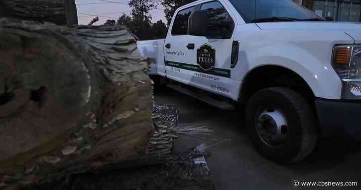 Metro Atlanta tree trimming company sees increase in calls ahead of Hurricane Isaias
