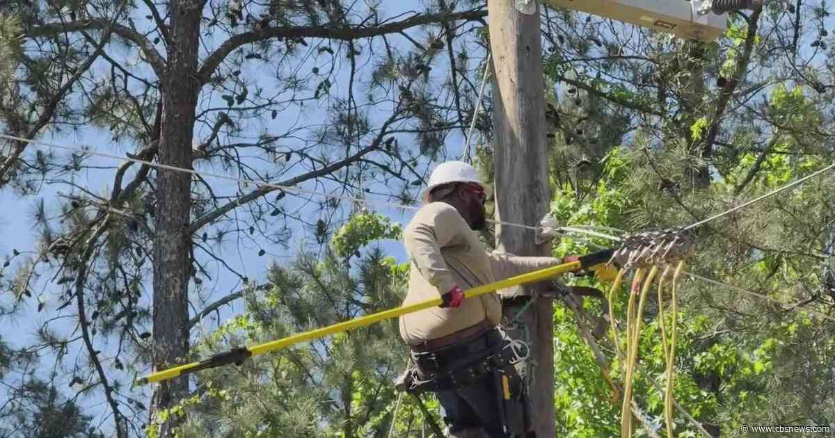 Preparing for Isaias: Atlanta tree hazards and power outage tips