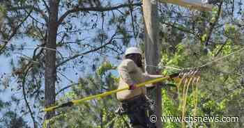 Preparing for Isaias: Atlanta tree hazards and power outage tips