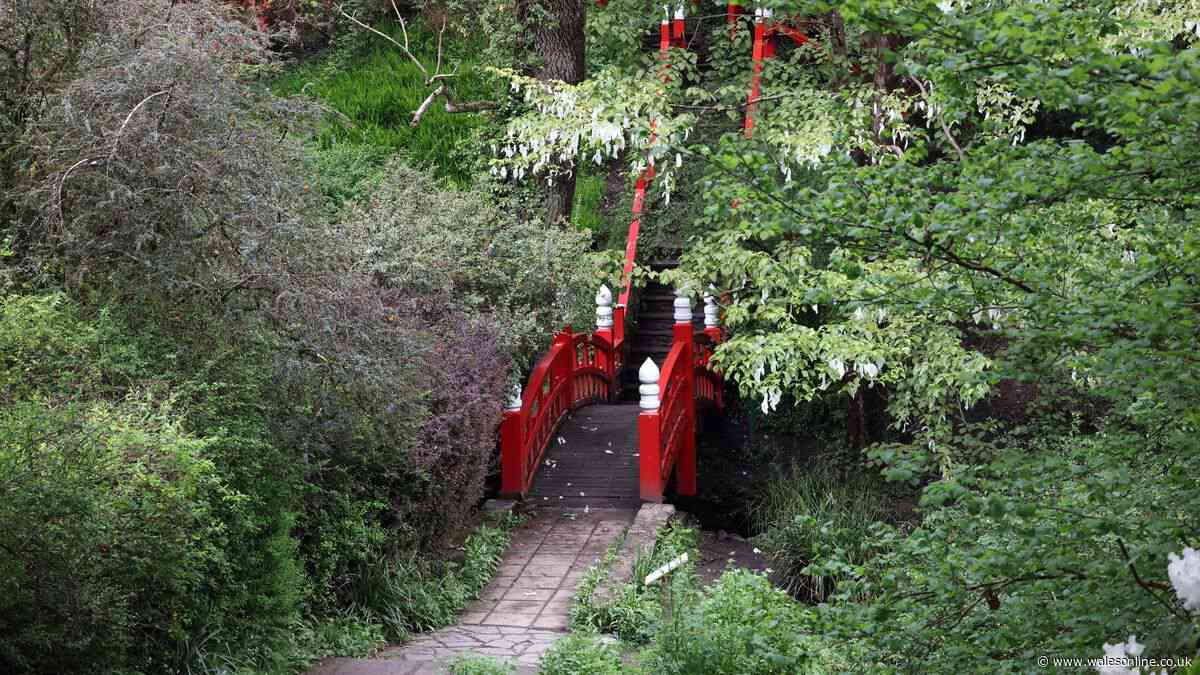 Restoration work to start on landmark Swansea bridge months after closure
