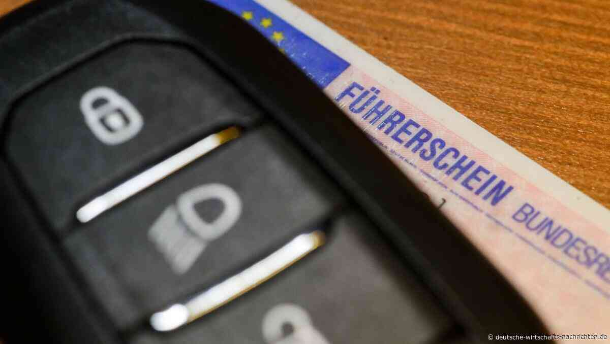 Führerscheinreform: Führerschein könnte bis zu 1.000 Euro günstiger werden
