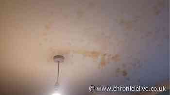 Landlord fined £26,000 after mum-of-two left with no heating in damp-riddled North East home