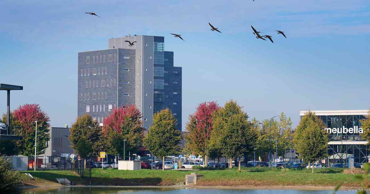 Beschermde ganzen zorgen voor gevaar op weg bij Veghel: ‘Fietsers moeten uitwijken’