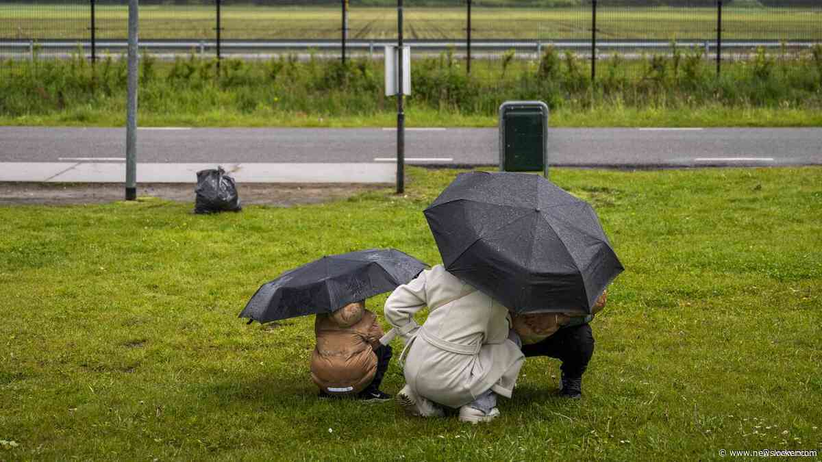 'Humanitaire ondergrens' asielopvang bereikt: mensen slapen buiten in de regen