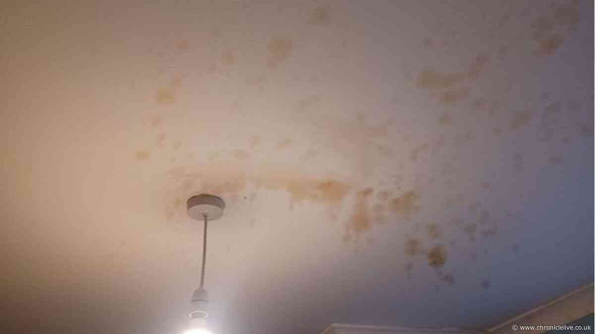 Landlord fined £26,000 after mum-of-two left with no heating in damp-riddled North East home
