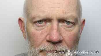 Man who stabbed his ex-partner 11 times with kitchen knife in town park ambush is sentenced