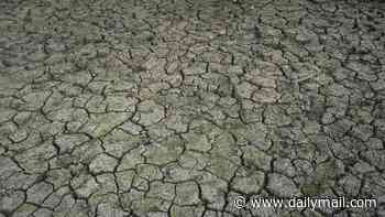 Drought declared in Yorkshire after record-breaking dry weather over spring and summer
