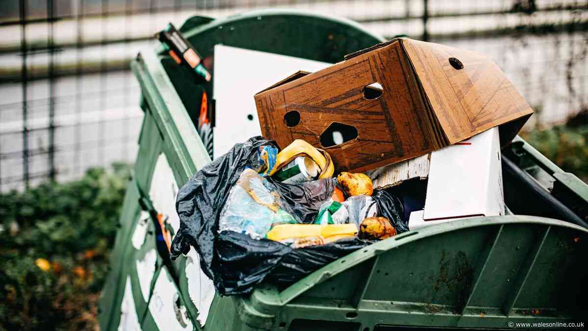 I asked experts the best way to get rid of cardboard if council won't take it