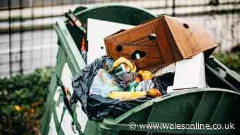 I asked experts the best way to get rid of cardboard if council won't take it