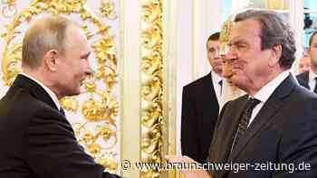 Gerhard Schröder: „Alter Freund“ bei Putins Geburtstag – Merz „zutiefst empört“