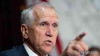 Tillis: Livestreaming Hasan execution 'beyond disgusting'