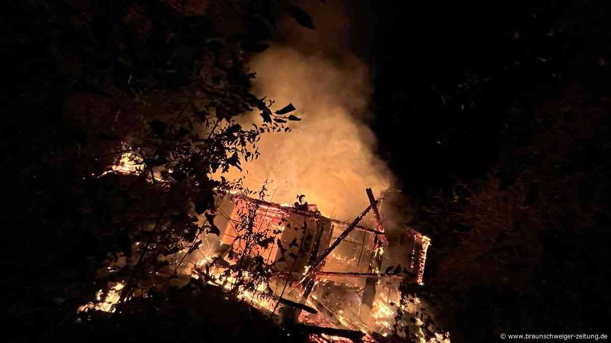 Erneuter Brand am Wiesenbeker Teich in Bad Lauterberg: Ursache weiter unklar