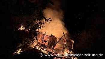 Erneuter Brand am Wiesenbeker Teich in Bad Lauterberg: Ursache weiter unklar