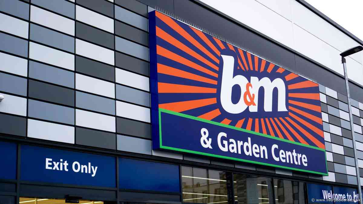 New £20 B&M autumn lamp similar to £55 Dunelm and £100 Tesco in stores now