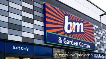 New £20 B&M autumn lamp similar to £55 Dunelm and £100 Tesco in stores now