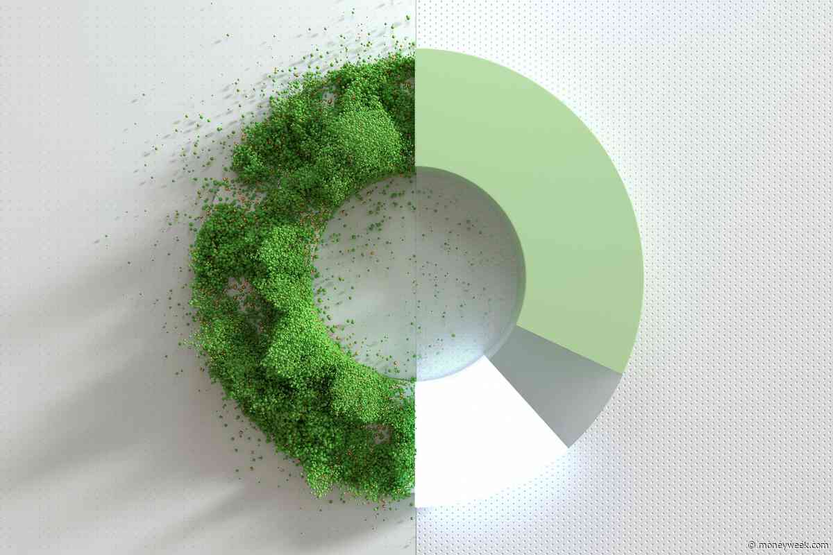 Are renewables worth investing in?