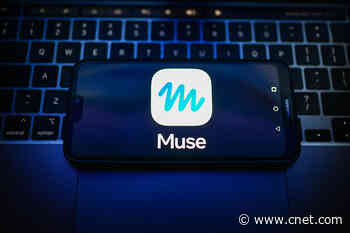 I Asked Meta Muse to Fix an Issue With My Phone Provider. It Got Blocked at Every Turn