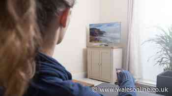 Little-known 'I kid you not' BBC TV Licence rule over unplugged laptops