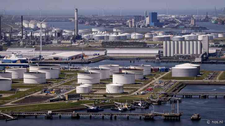 Konijnen moeten groei in Rotterdamse haven weer mogelijk maken