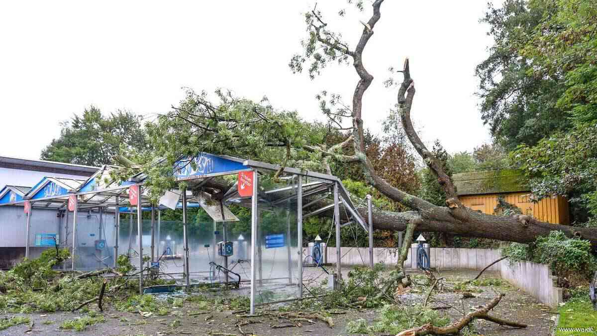 Massive Zerstörung: Baum kracht auf SB-Waschplatz – DWD gibt Warnung heraus