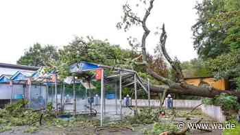 Massive Zerstörung: Baum kracht auf SB-Waschplatz – DWD gibt Warnung heraus