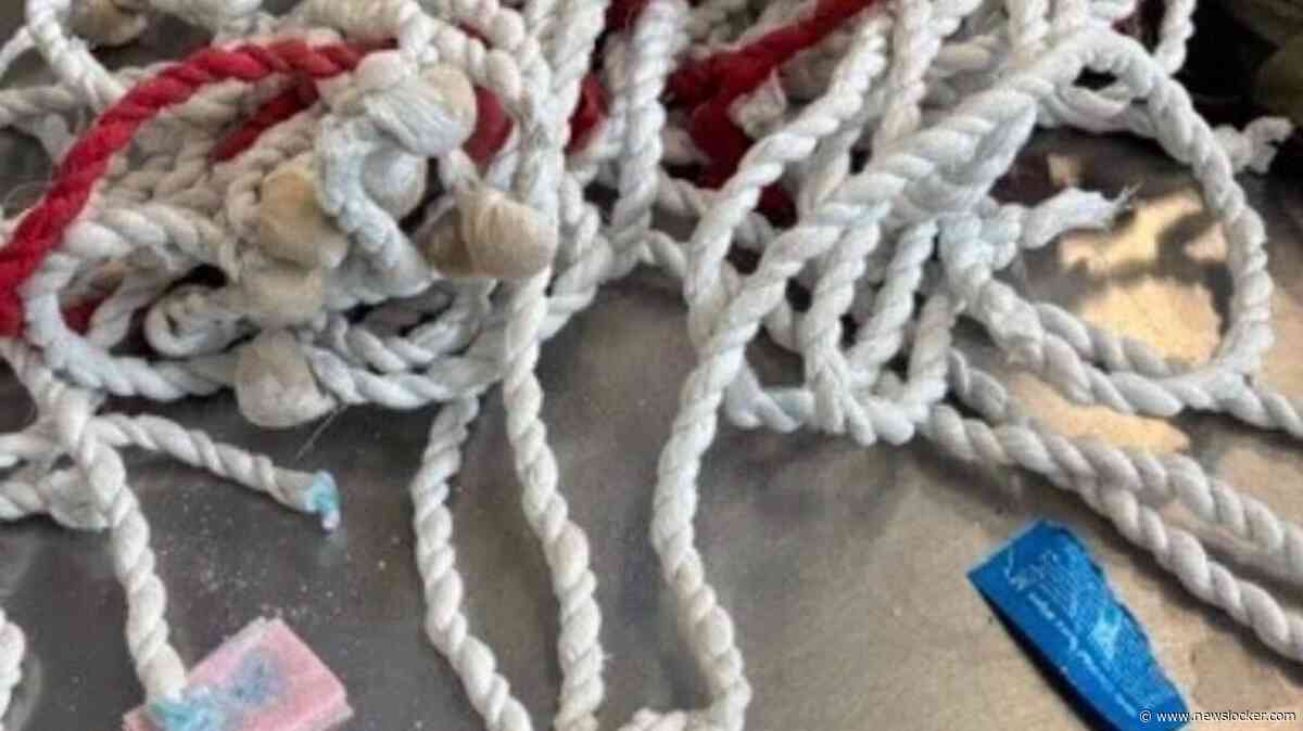 Opvallende zending uit Suriname blijkt doordrenkt met vloeibare cocaïne: ’Wat een vondst!’