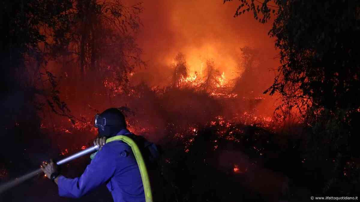 Incendi in Indonesia, scuole chiuse in Malesia: non solo El Niño, dietro c’è anche il disboscamento per cellulosa e olio di palma