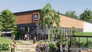 Well-heeled residents of affluent suburb protest over plan for new Aldi as councillor tells them: 'If it was Waitrose or Fortnum & Mason you wouldn't complain'