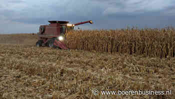 Hoe betrouwbaar zijn cijfers over granenmarkt?
